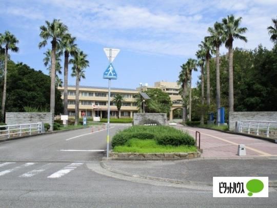 �y���Ӂz�@�勳���w�����}���فF2011m
